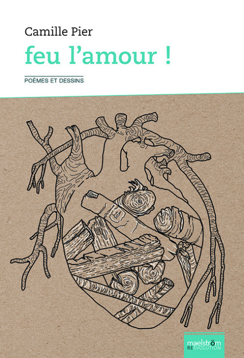 Βιβλίο Feu l'amour ! Pier