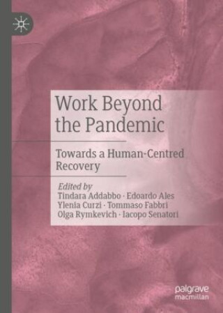 Livro Work Beyond the Pandemic Tindara Addabbo