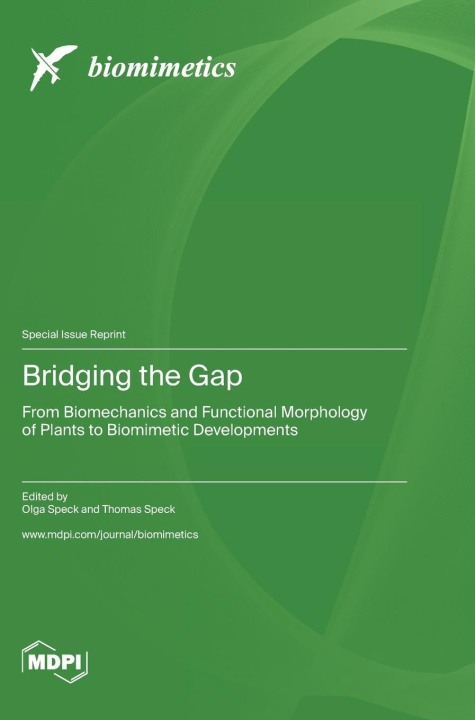 Knjiga Bridging the Gap Olga Speck