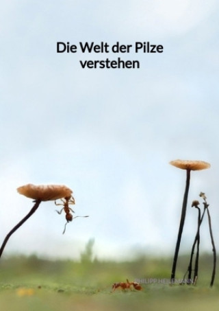 Könyv Die Welt der Pilze verstehen Philipp Heilemann
