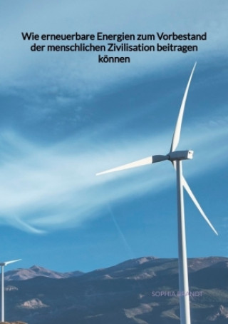 Книга Wie erneuerbare Energien zum Vorbestand der menschlichen Zivilisation beitragen können Sophia Brandt