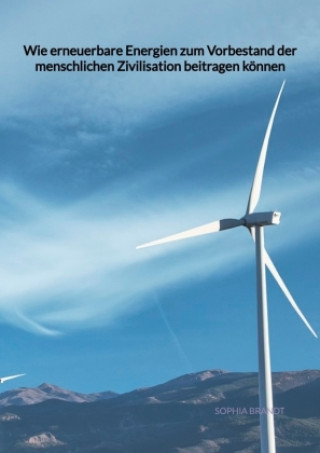 Könyv Wie erneuerbare Energien zum Vorbestand der menschlichen Zivilisation beitragen können Sophia Brandt