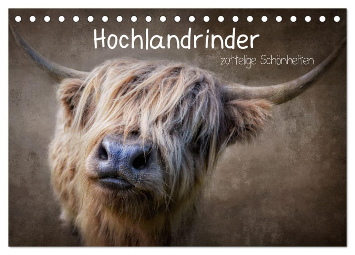 Naptár/Határidőnapló Hochlandrinder - Zottelige Schönheiten (Tischkalender 2024 DIN A5 quer), CALVENDO Monatskalender 