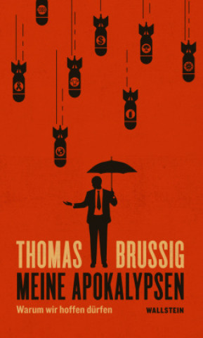 Kniha Meine Apokalypsen Thomas Brussig