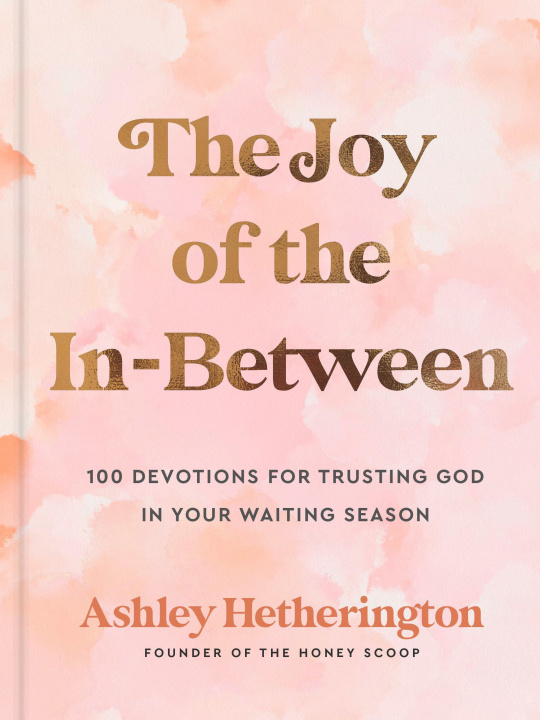 Książka The Joy of the In-Between: 100 Devotions for Trusting God in Your Waiting Season: A Devotional 