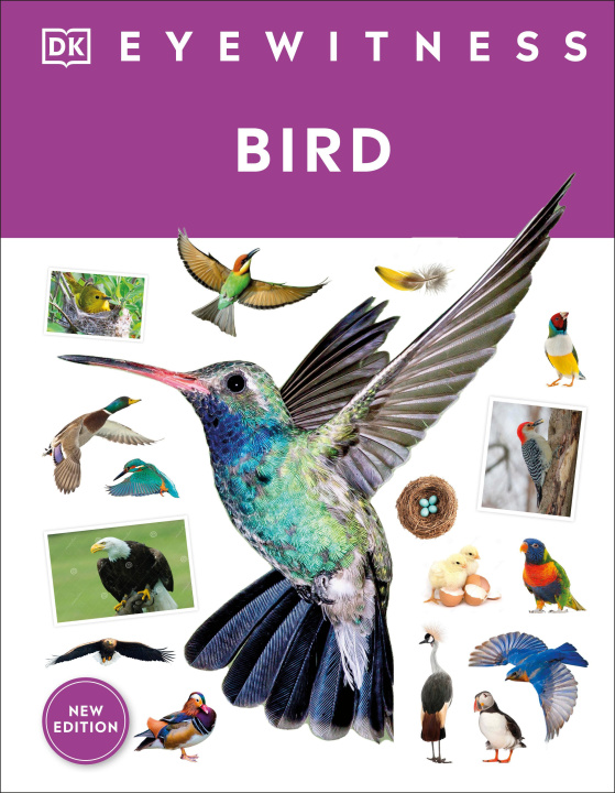 Knjiga Eyewitness Bird DK