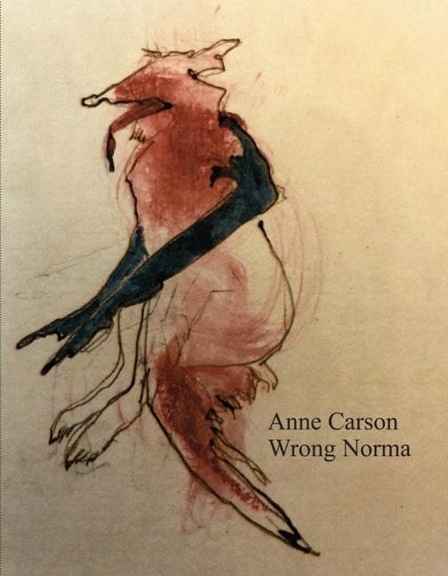 Kniha Wrong Norma 