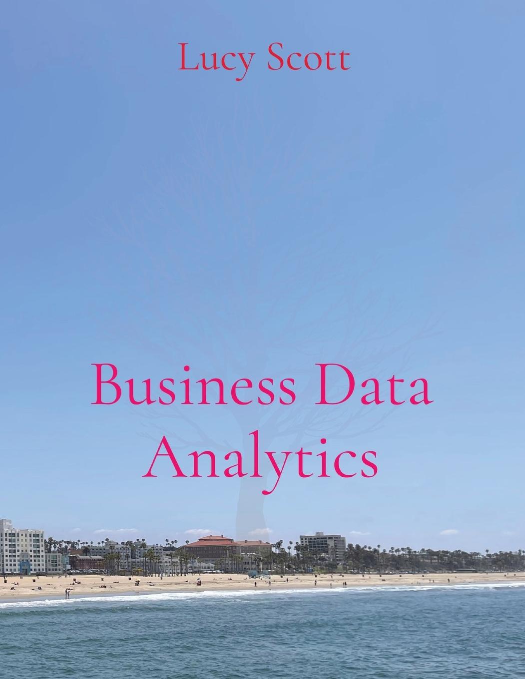 Book Business Data Analytics Lucy Scott