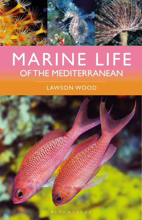 Książka Marine Life of the Mediterranean Wood Lawson Wood