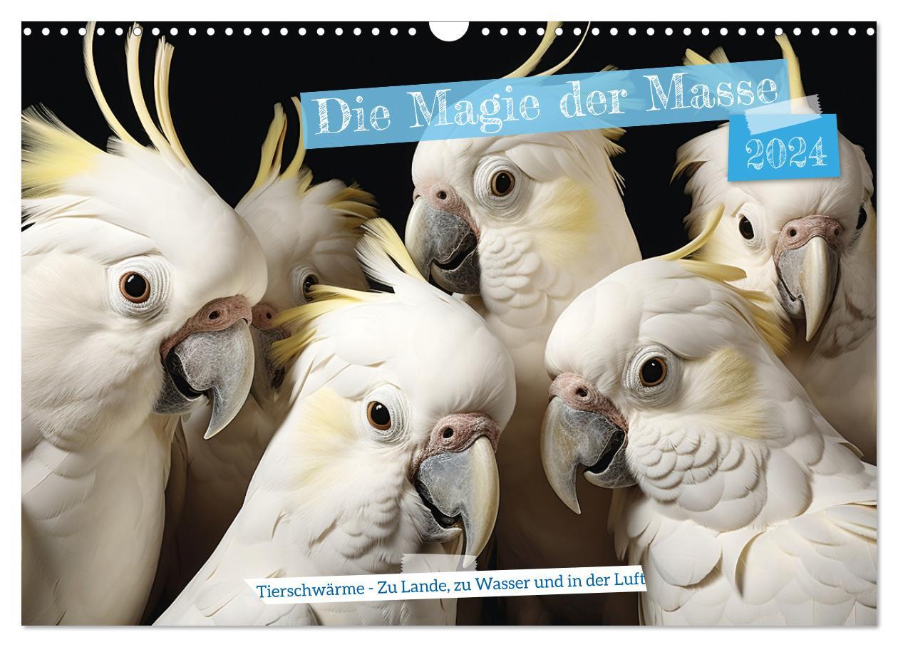 Naptár/Határidőnapló Die Magie der Masse (Wandkalender 2024 DIN A3 quer), CALVENDO Monatskalender 