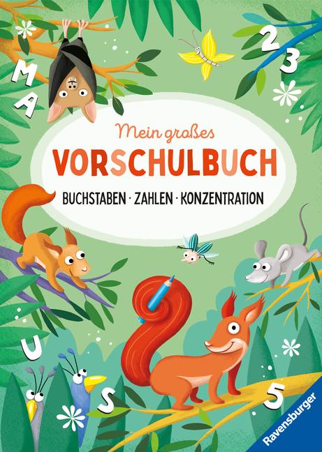 Könyv Mein großes Vorschulbuch: Buchstaben Zahlen Konzentration Theresia Koppers