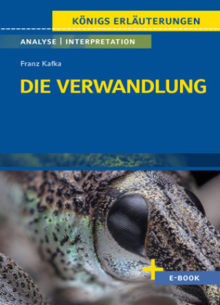 Könyv Die Verwandlung - Textanalyse und Interpretation 