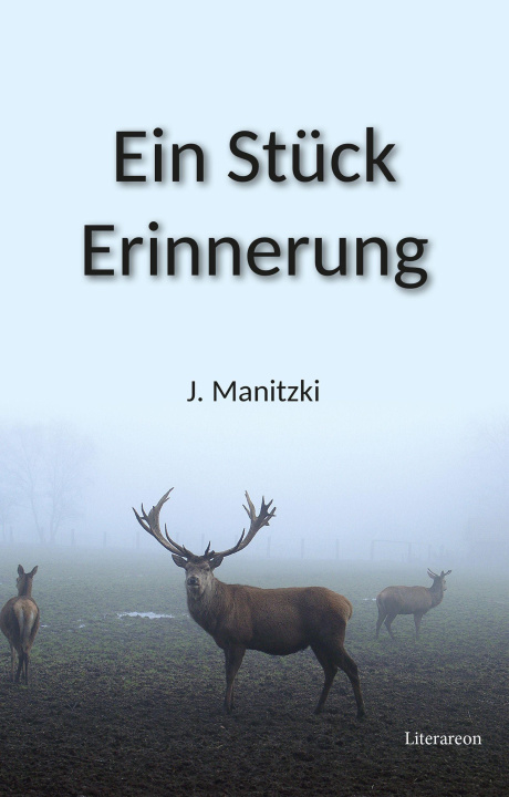 Kniha Ein Stück Erinnerung 