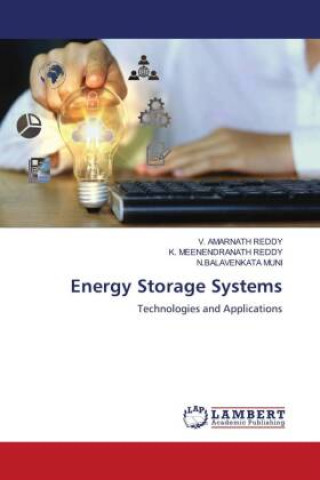 Könyv Energy Storage Systems K. Meenendranath Reddy