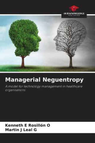 Knjiga Managerial Neguentropy Martin J Leal G