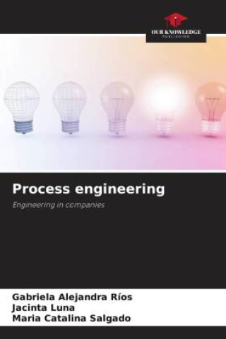 Könyv Process engineering Jacinta Luna