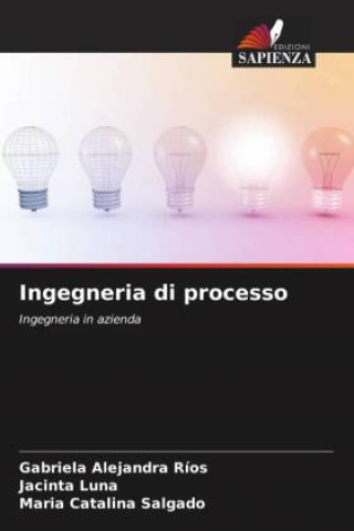 Книга Ingegneria di processo Jacinta Luna
