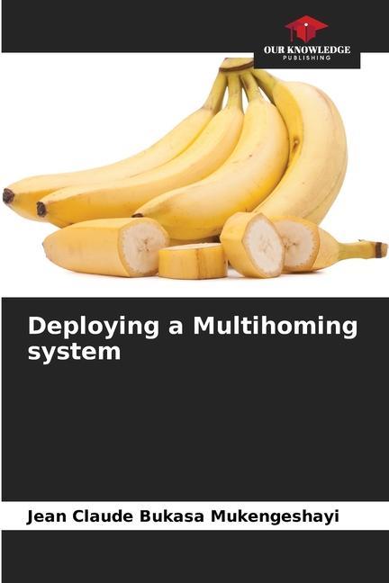 Knjiga Deploying a Multihoming system Jean Claude BUKASA MUKENGESHAYI