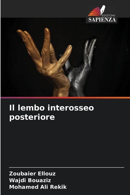 Buch Il lembo interosseo posteriore Wajdi Bouaziz