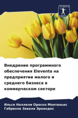 Buch Vnedrenie programmnogo obespecheniq Eleventa na predpriqtii malogo i srednego biznesa w kommercheskom sektore Gabriäla Zawala Jernandes