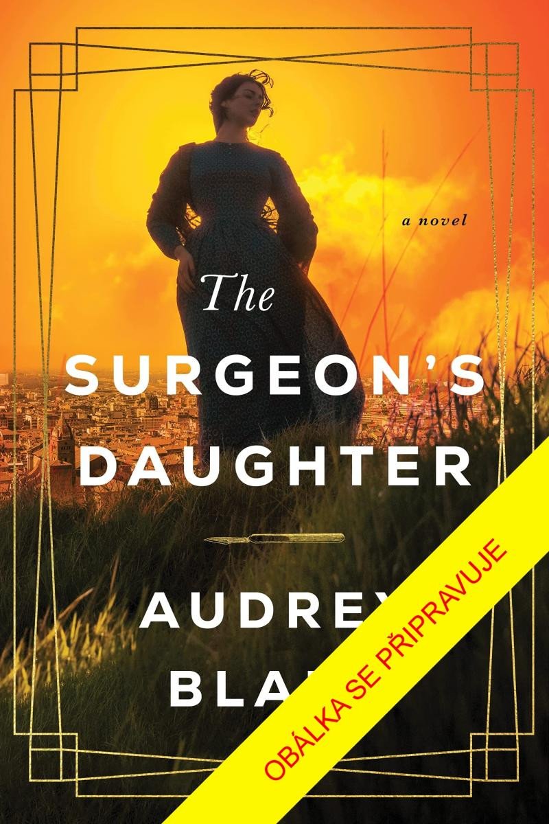Kniha Chirurgova dcera Audrey Blake