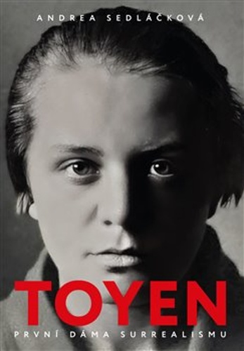 Book Toyen Andrea Sedláčková
