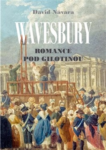 Boek Wavesbury Romance pod gilotinou David Návara