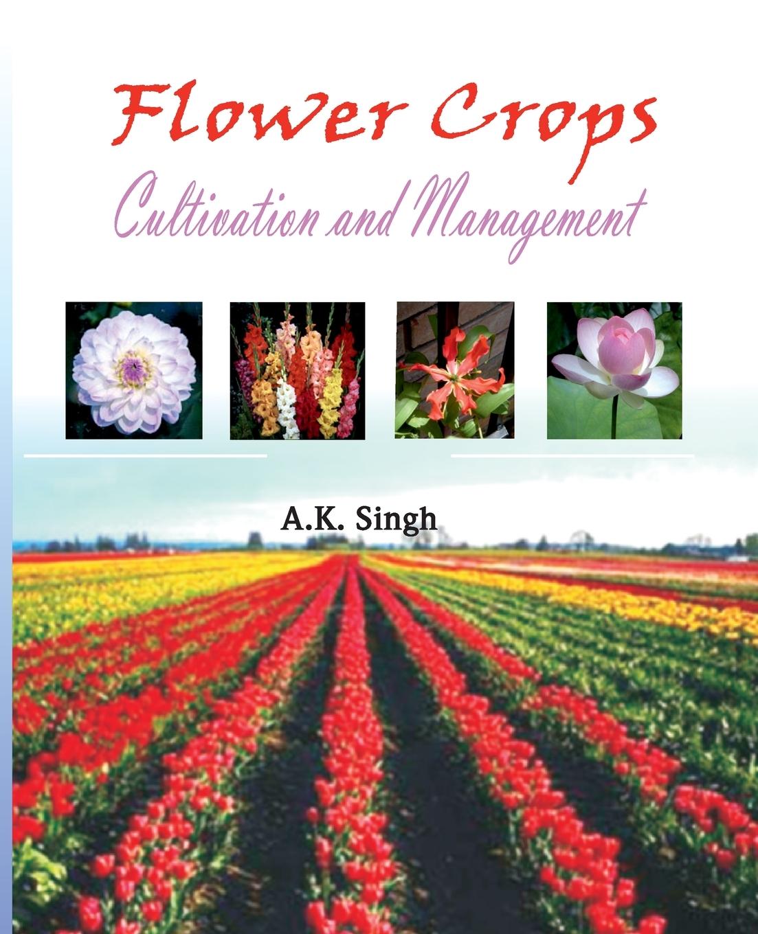 Knjiga Flower Crops Anil Kumar Singh