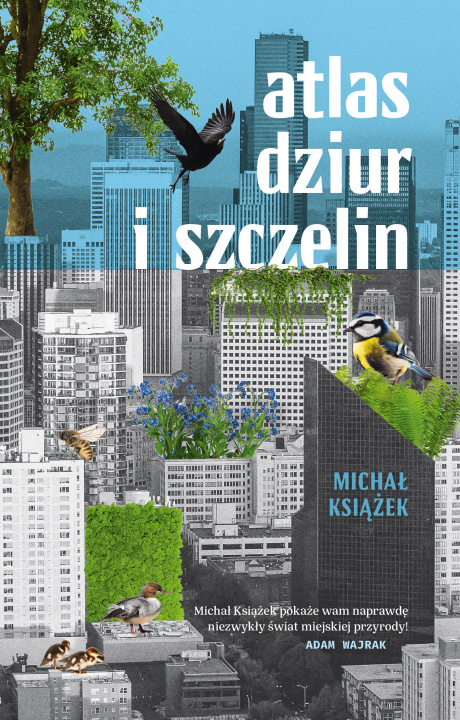 Buch Atlas dziur i szczelin Michał Książek