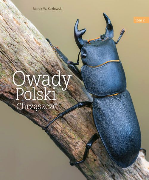 Könyv Owady Polski. Tom 2 wyd. 2023 Marek W. Kozłowski