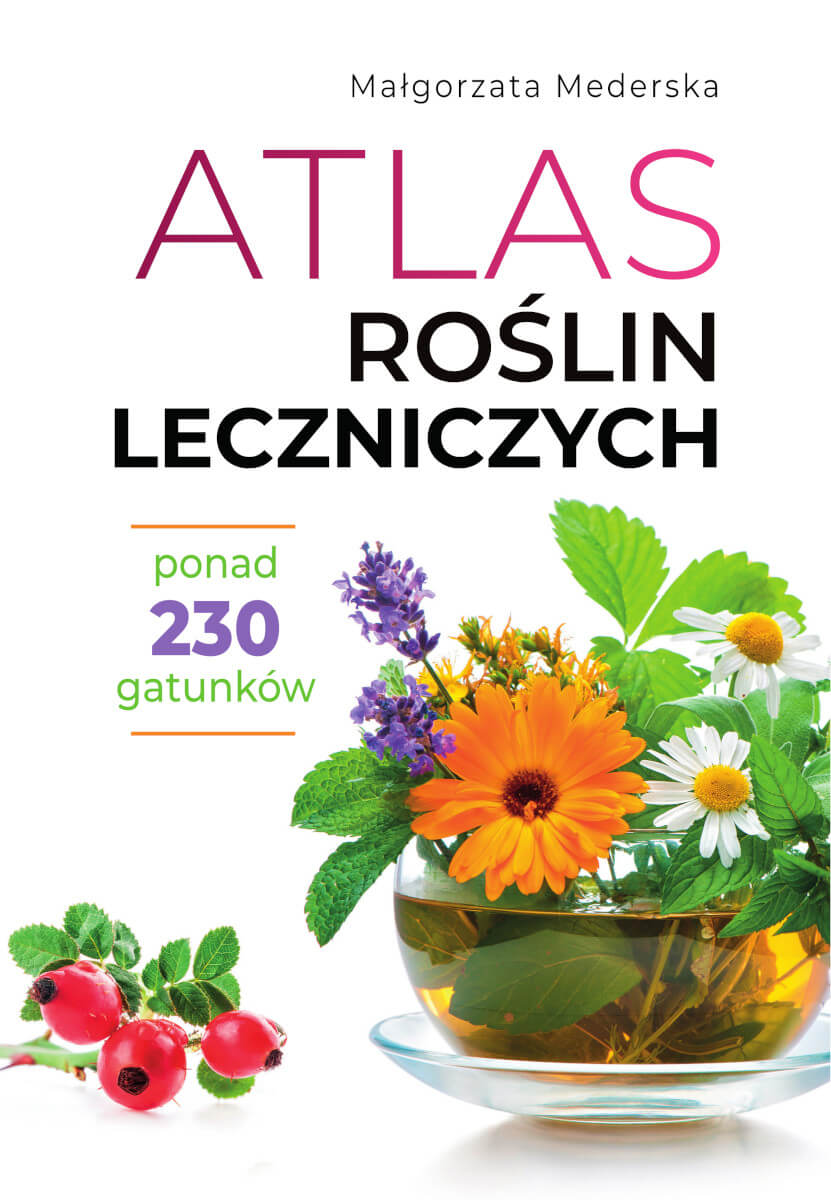 Buch Atlas roślin leczniczych Małgorzata Mederska