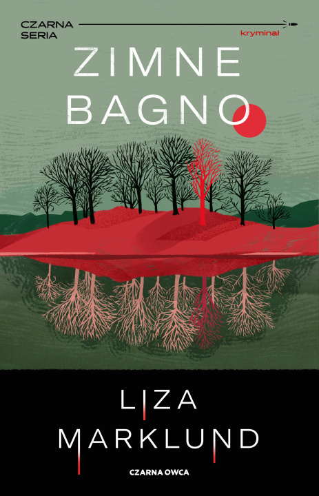 Knjiga Zimne bagno Liza Marklund