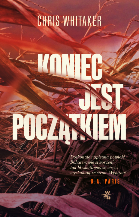 Buch Koniec jest początkiem Chris Whitaker