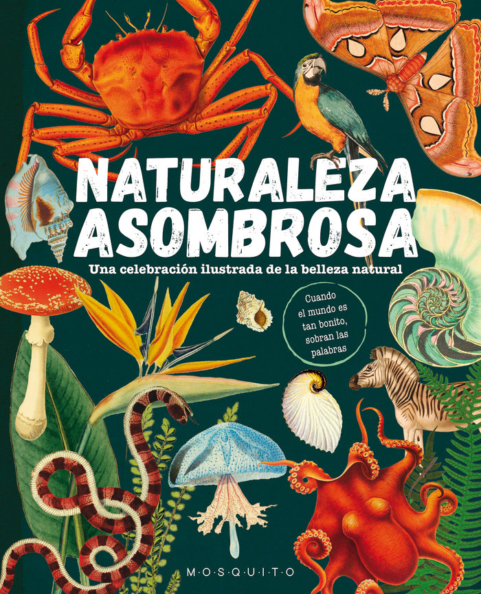 Kniha NATURALEZA ASOMBROSA MOSQUITO BOOKS