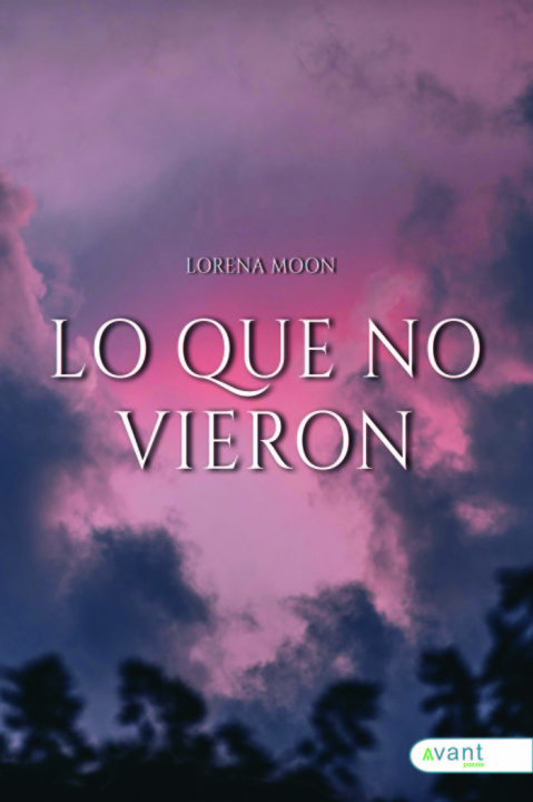 Boek LO QUE NO VIERON Moon
