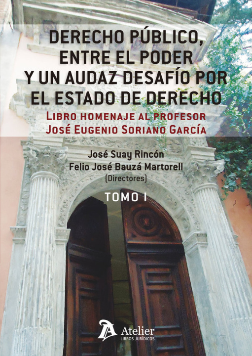 Knjiga DERECHO PUBLICO ENTRE EL PODER Y UN AUDAZ DESAFIO POR ESTAD JOSE SUAY RINCON