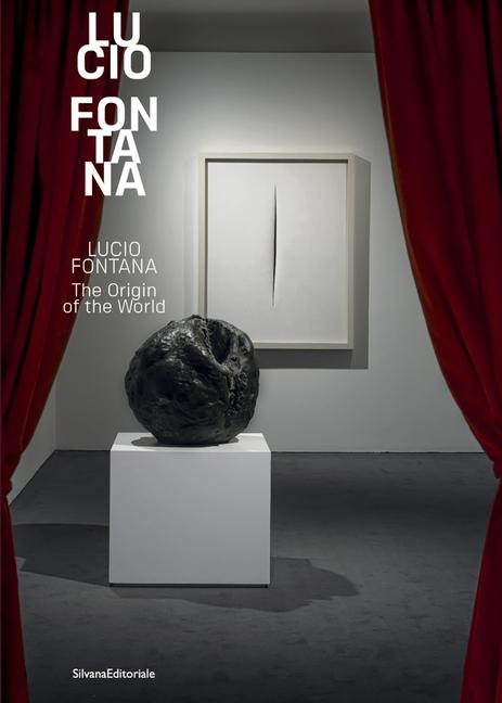Libro Fontana Sergio Risaliti