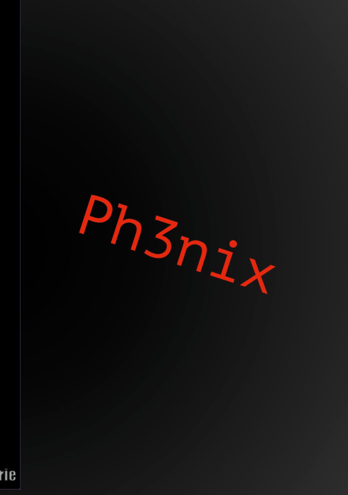 Kniha Ph3nix 