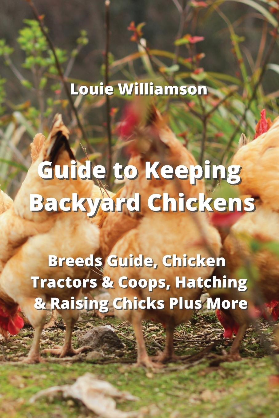 Könyv Guide to Keeping Backyard Chickens 