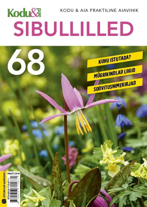 Kniha Sibullilled. Kodu&Aia praktiline aiavihik 68 Sulev Savisaar