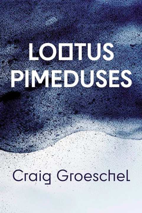 Book Lootus pimeduses Craig Groeschel