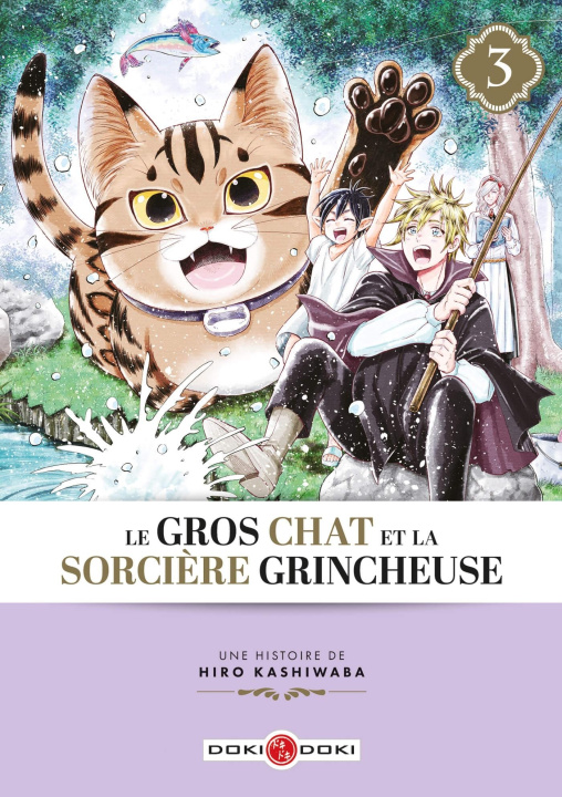 Könyv Le Gros Chat et la Sorcière grincheuse - vol. 03 