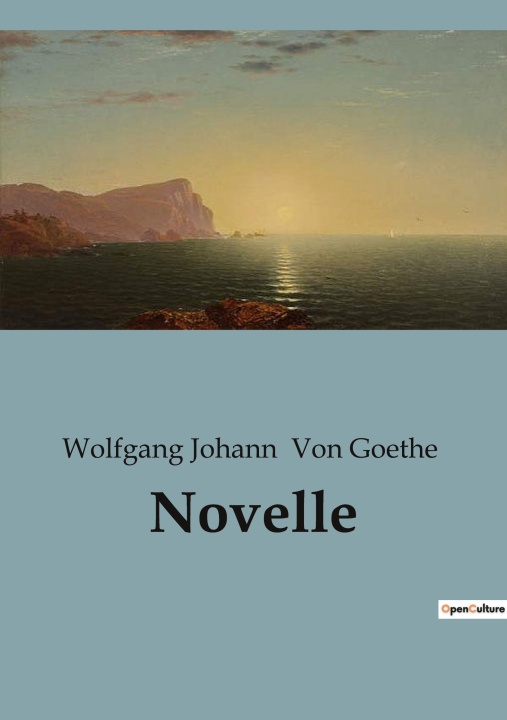 Book Novelle Von Goethe