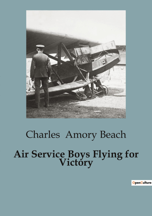Buch Air Service Boys Flying for Victory Amory Beach