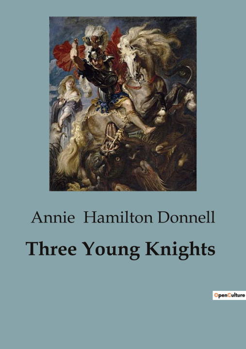 Knjiga Three Young Knights Hamilton Donnell