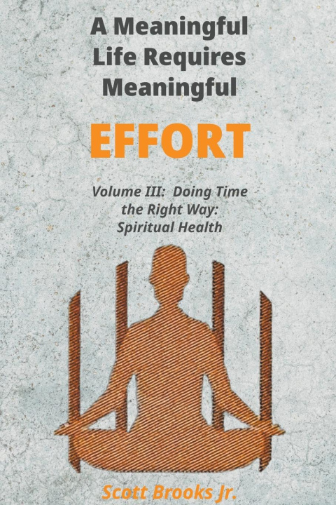 Knjiga A Meaningful Life Requires Meaningful Effort Scott Jr. Brooks