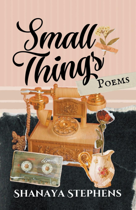 Knjiga Small Things Shanaya Stephens