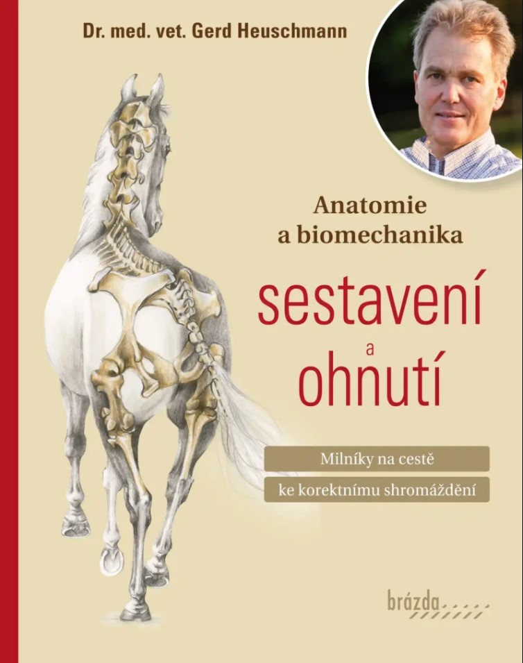 Carte Anatomie a biomechanika sestavení a ohnutí Gerd Heuschmann