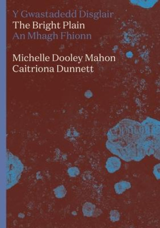 Βιβλίο The Bright Plain: Volume 2 Caitriona Dunnett