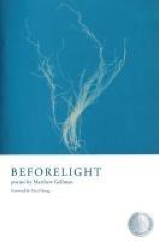 Book Beforelight Matthew Gellman